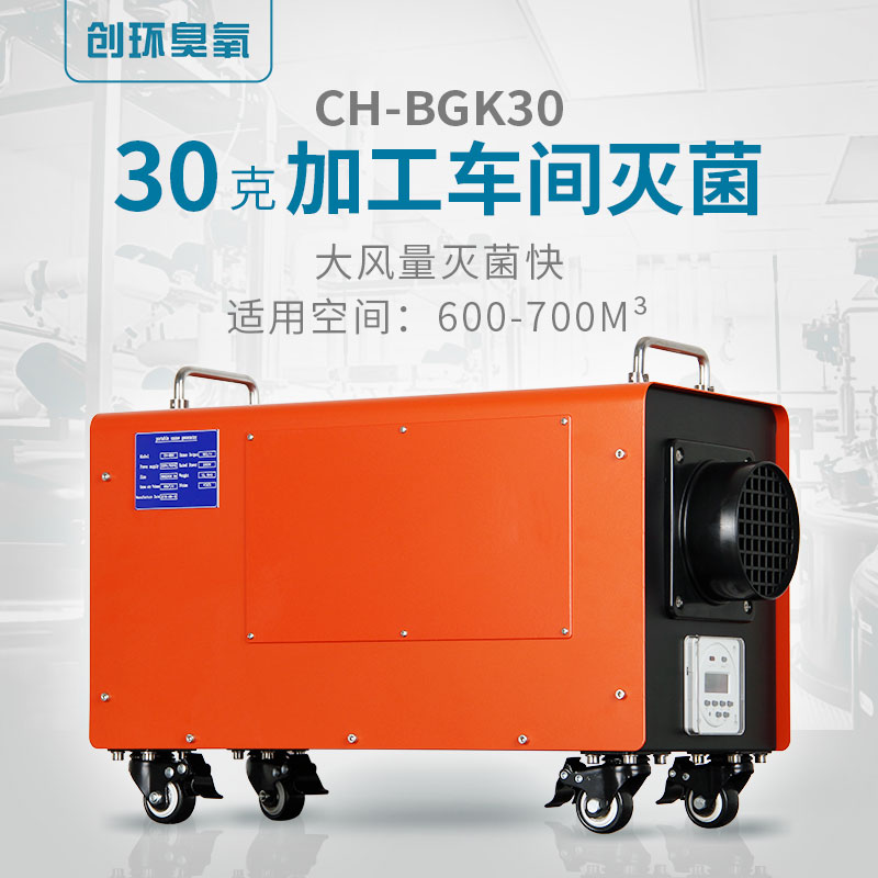 CH-BGK便攜空間消毒臭氧機30g/h