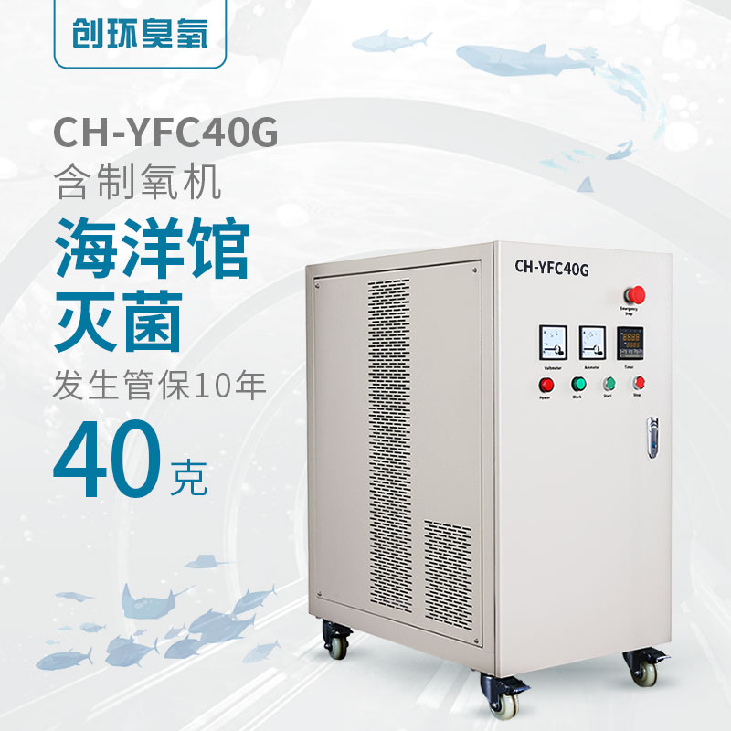 CH-YFC氧氣源風(fēng)冷一體機(jī)40g/h